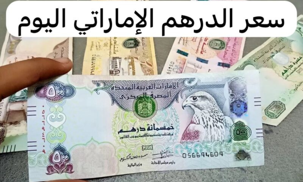 أخر تحديث لسعر الدرهم الإماراتي أمام الجنيه المصري .. التفاصيل كاملة