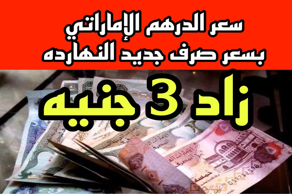 سعر الدرهم الاماراتي في مصر!!.. التفاصيل