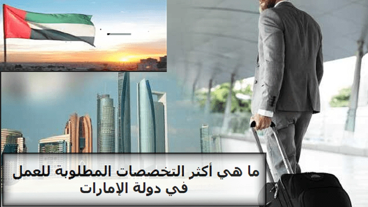 تخصصات العمل الأكثر طلباً في الإمارات بمزايا عالية ورواتب شهرية كبيرة