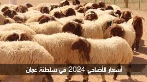 كبش عيد الأضحى.. أسعار الأضاحي في عُمان 2024 وأماكن البيع 