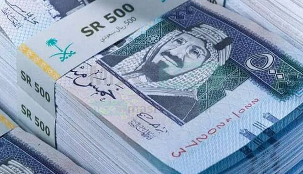 راتبي ٣٠٠٠ ريال سعودي كم تأخذ التأمينات السعودية؟ المؤسسة العامة تُجيب